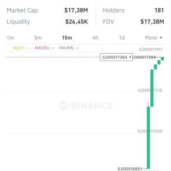 Cüzdanımda Görünen Tokenların Değeri Neden Sıfır?