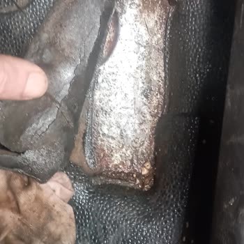 2016 Model Aracın Şasi Numarası Sorunu Ve Paslanma