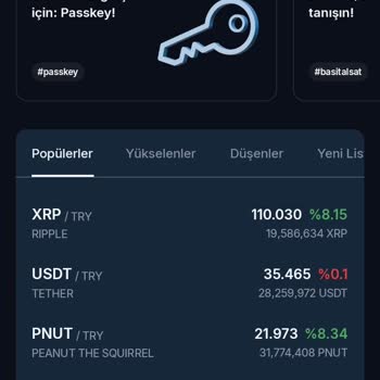 BTCTURK Hesabına Erişim Sorunu Ve Kayıp Endişesi