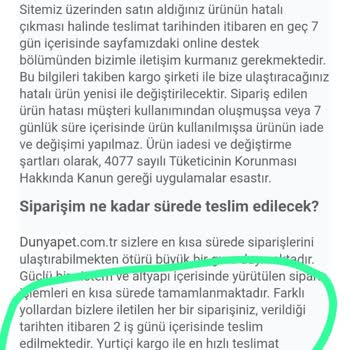 Kedi Maması Siparişim Neden Hala Gelmedi?
