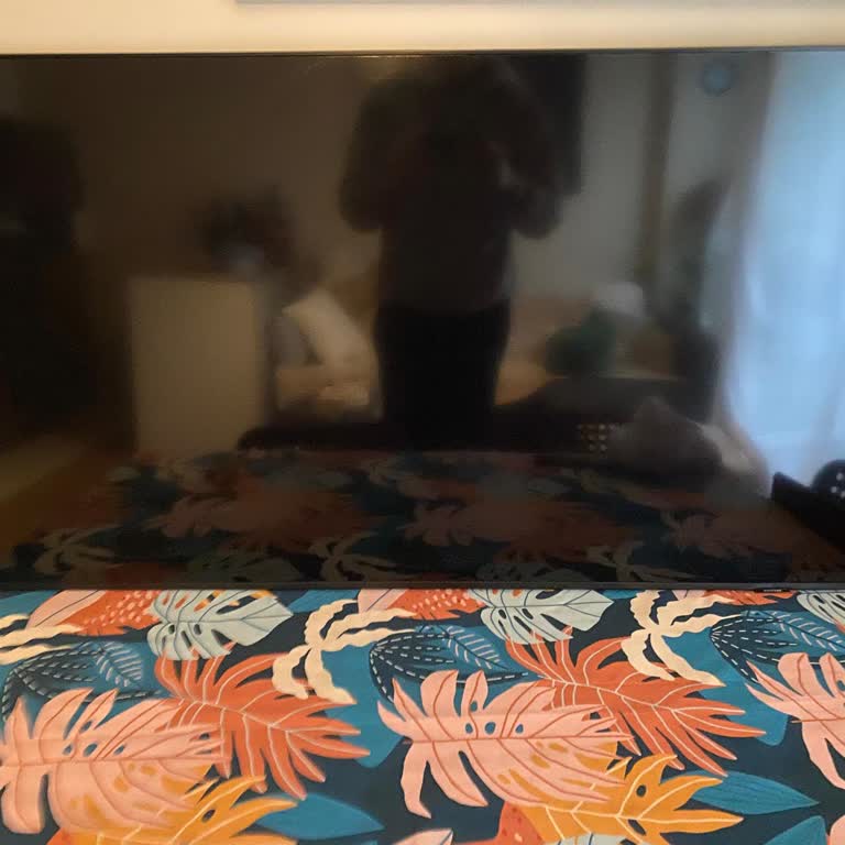 Samsung Televizyonun Sürekli Ekran Sorunları