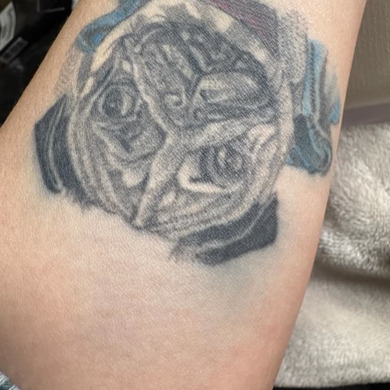 Tattoo Picasoo Dövme Mürekkebi Cildime Yayıldı