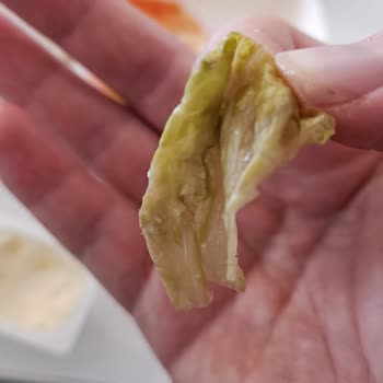 Burger King Siparişimde Beklenmeyen Hayal Kırıklığı