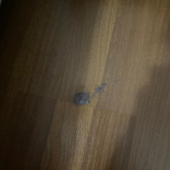 Arızalı Roborock Süpürge Ve Yetersiz Müşteri Hizmetleri