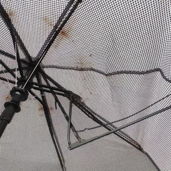 Ümraniye Meydan AVM'de Aldığım Şemsiye Hüsranı