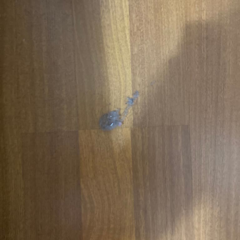 Roborock Vacuum I Bought from Hepsiburada Was Defective and Had No Warranty Support