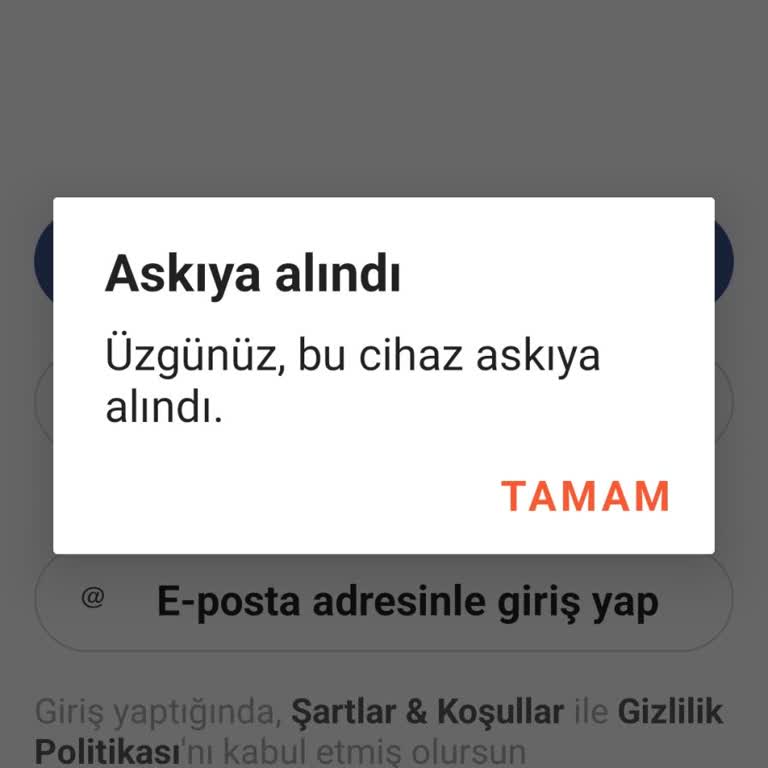 Hornet Hesabım Askıya Alındı