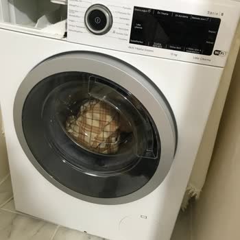 Bosch Çamaşır Makinesi Paslanma Sorunu