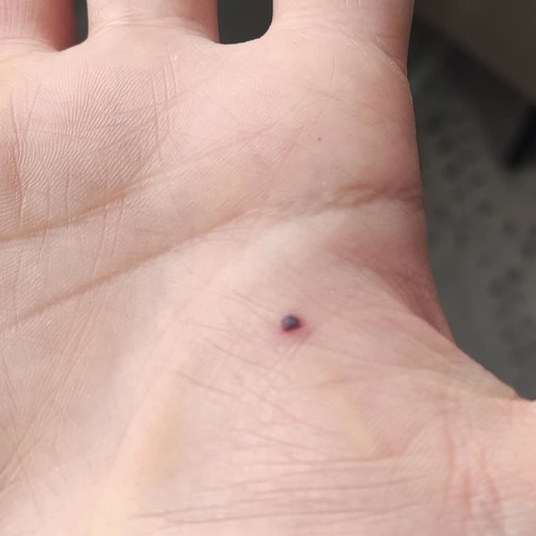 Stanley The Aerolight Transit 0.47L Mug Unsafe, Requesting Replacement