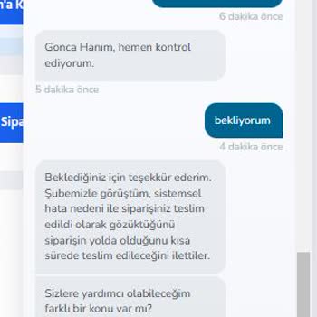 Kadıköy Domino's: Sürekli Hatalı Ve Eksik Siparişler