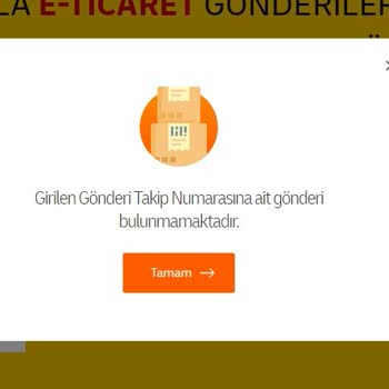 Teslim Edilmeyen Sipariş: BKM Kitap Ve MNG Kargo Sorunu