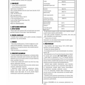 Zorunlu Bireysel Emeklilik Ve Haksız Kesintiler