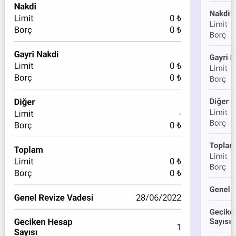 Ödenmiş Borcun Findeks'te Hala Görünmesi