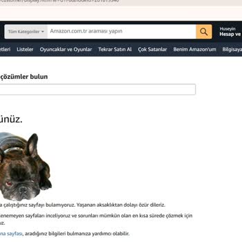 Patlayan Bal Ve Belirsiz İade Politikası