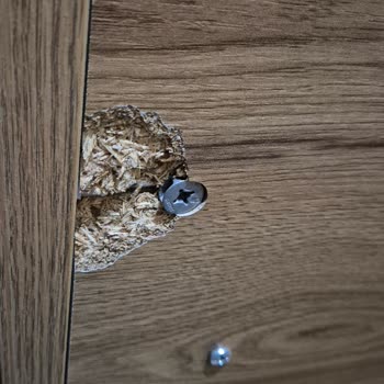 Mobilya Montajında Gizli Kusurlar Ve Mağaza İlgisizliği