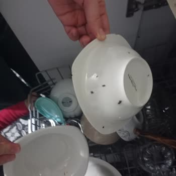 Arçelik Bulaşık Makinesi Sorunları Bitmiyor