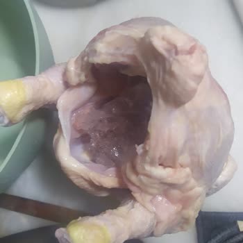 Dondurulmuş Tavukta Buz Şoku