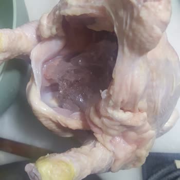 Dondurulmuş Tavukta Buz Şoku