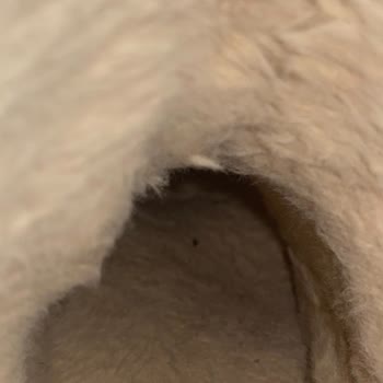 Zara Mağazasında Şok Edici Müşteri Hizmeti Deneyimi