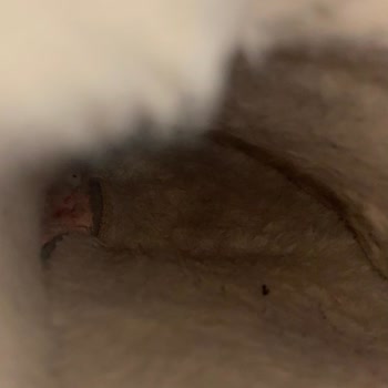 Zara Mağazasında Şok Edici Müşteri Hizmeti Deneyimi