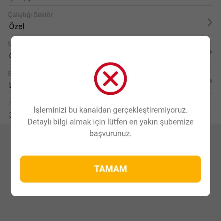 VakıfBank Uygulamasında Kredi Çekme Sorunu