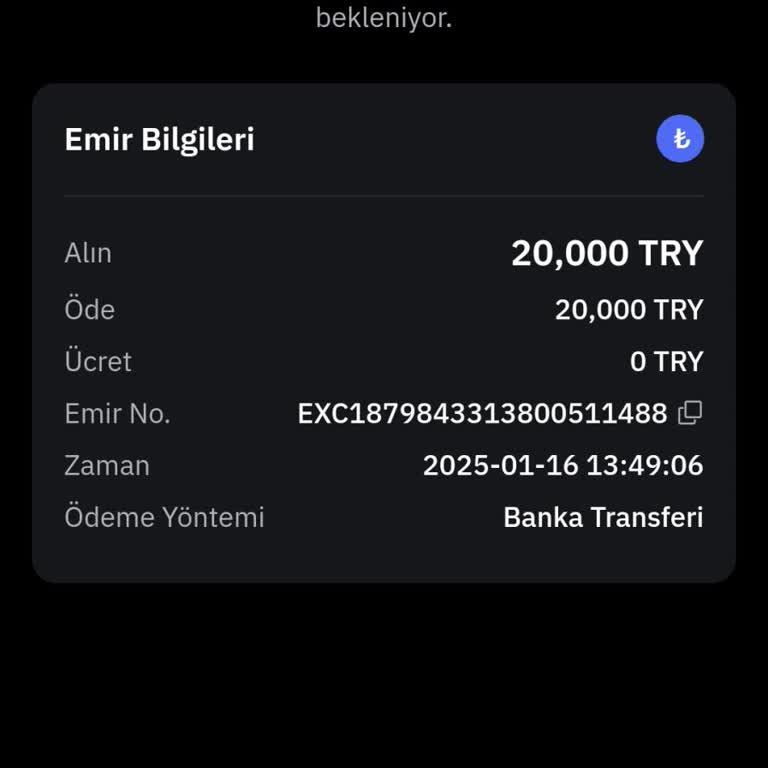 Bybit Hesabına Geçmeyen Havale: Mağduriyet Ve İletişim Sorunları