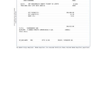 Yatırım Danışmanlığı Adı Altında Yanıltıcı İşlemler