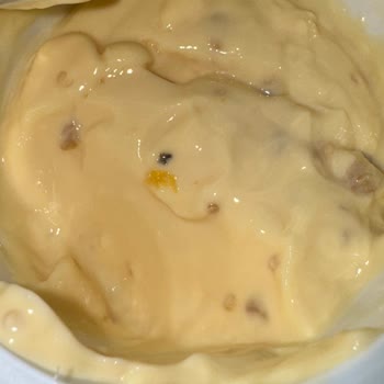 Sek Quark'ta Yabancı Cisim Şoku