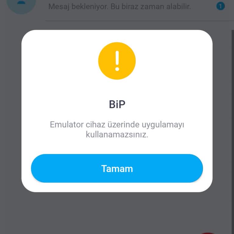 BİP Uygulaması Giriş Sorunu Ve Yüksek Fiyatlar