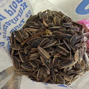 Amigo Çekirdeklerde Beklenmedik Kabuk Sorunu