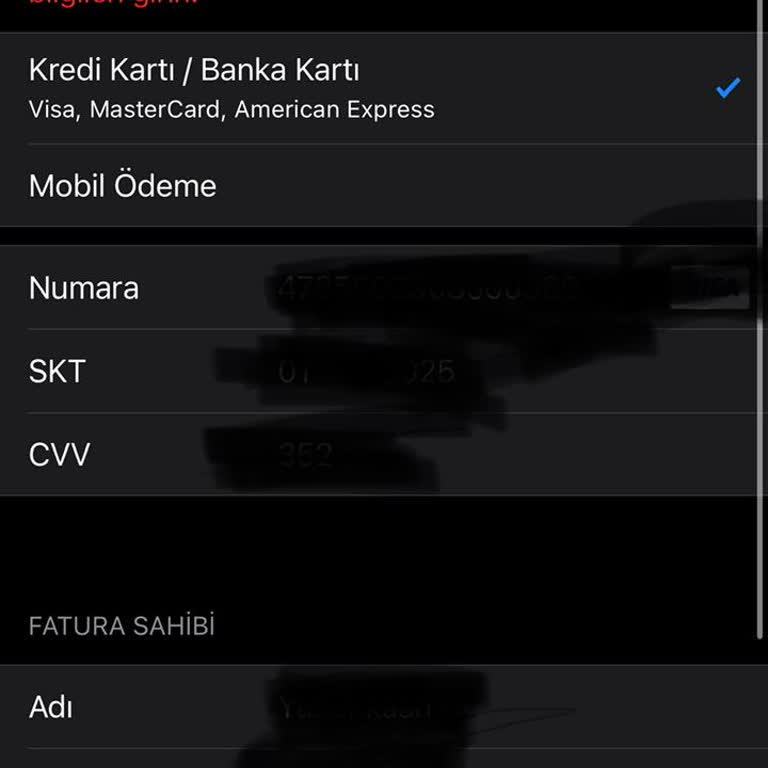 Ödeme Yöntemi Sorunu: Kart Bilgileri Hatası