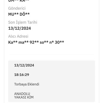 Kayıp Kargo: 34 Günlük Bekleyiş Ve İletişim Sorunları