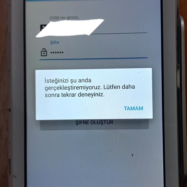 Ödeal Cihaz Bağlantı Sorunu İşleri Aksatıyor