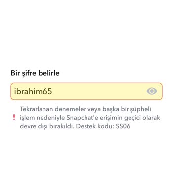 Hesap Erişim Sorunu Ve 'ss 06' Hatası