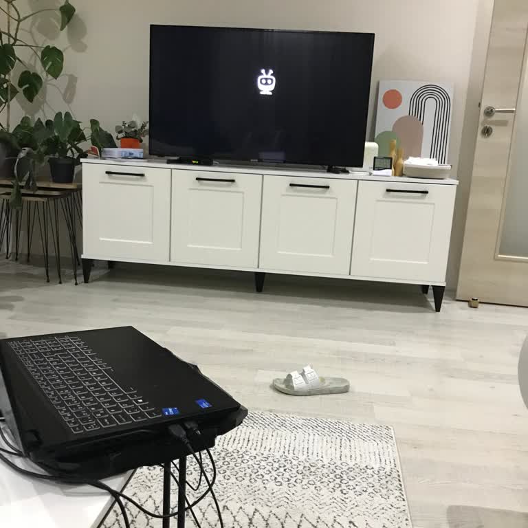 Vestel TV'de Tivo Uygulaması Sorunu: Acil Çözüm Bekleniyor