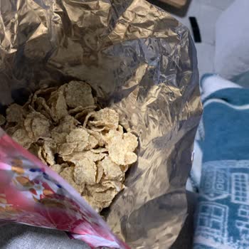 Kırmızı Meyveler Nerede?