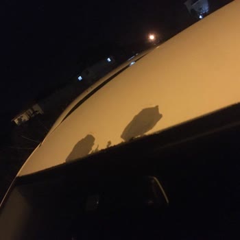 Volkswagen Tiguan'da Boya Sorunu Ve Servis Yanıtı