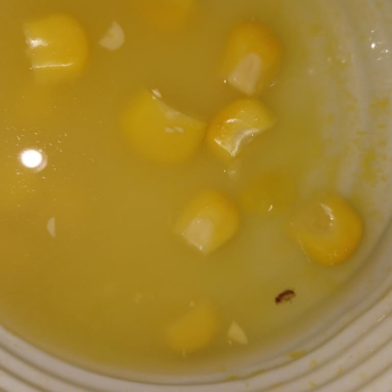 Tukaş Konserve Mısırda Böcek Şoku