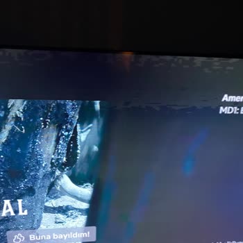 Onvo TV'de Ekran Sorunları Ve Yetersiz Servis Hizmeti