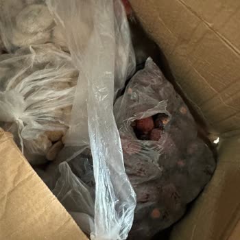 Kargo Teslimatında Yaşanan Sorunlar Ve Yanlış Uygulamalar