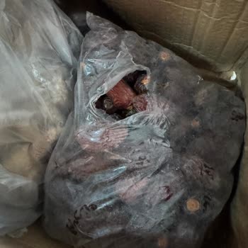 Kargo Teslimatında Yaşanan Sorunlar Ve Yanlış Uygulamalar