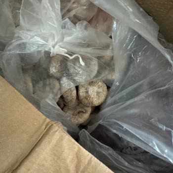 Kargo Teslimatında Yaşanan Sorunlar Ve Yanlış Uygulamalar