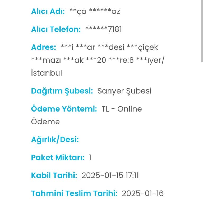 Kargo Teslimatında Yaşanan Sorunlar