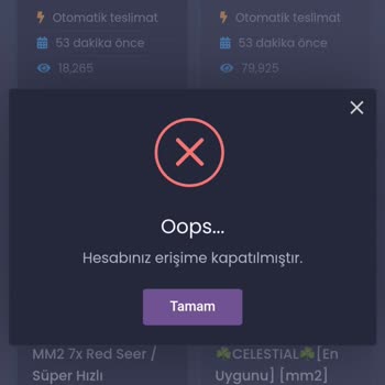 Hesap Erişim Sorunu Ve Para İadesi Talebi