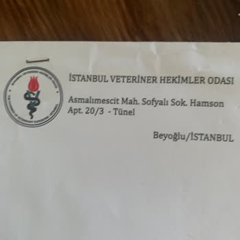 Veteriner Kliniğinde Hayvan Sağlığına Tehdit