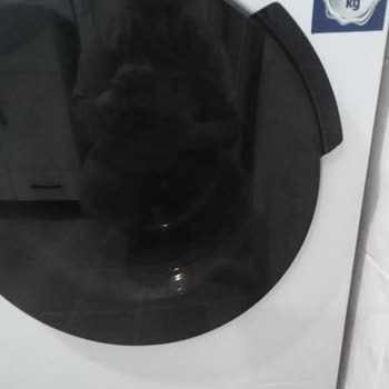 Beko Çamaşır Makinesi Mağduriyeti: Sorunlar Bitmiyor!