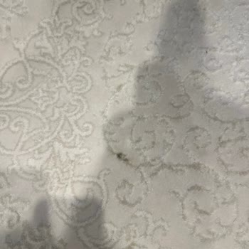 Halı Yıkama Kabusu: Lekelerle Geri Dönen Halılar Ve İlgisiz Hizmet