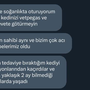 Veteriner Kliniğinde Şok Edici İhmaller Ve Yanıltıcı Yorumlar