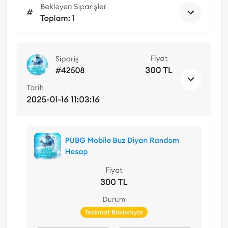 Satın Aldığım Hesap İçin Destek Alamıyorum