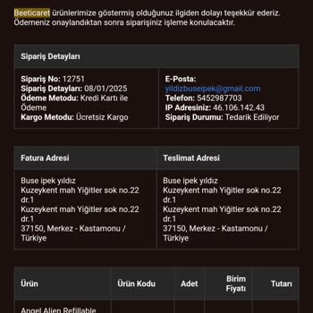 Sipariş Gelmedi Ve Shopier Giriş Sorunu